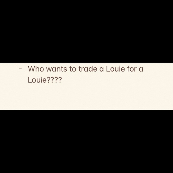 Louis Vuitton - Picture 1 of 1